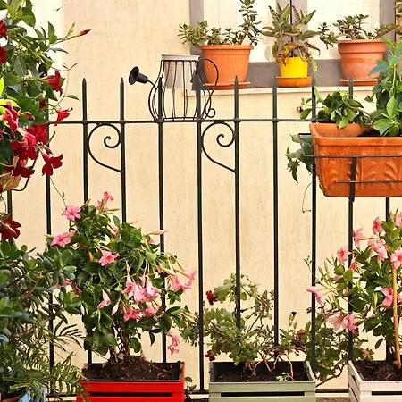 Dimora Procopio Holiday Casa vacanze *